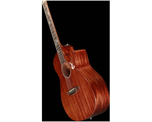 Фото Акустическая гитара Mollo GAC-22
