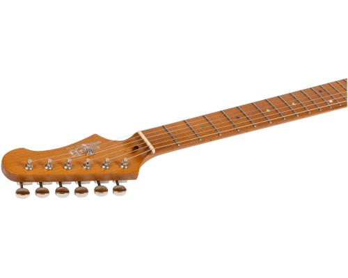 Фото Электрогитара JET JS-30 ASH