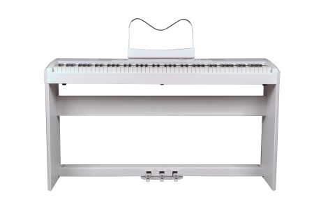 Фото Цифровое пианино Ringway RP-35 W