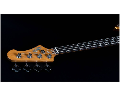 Фото Бас-гитара JET JJB-300 GD R