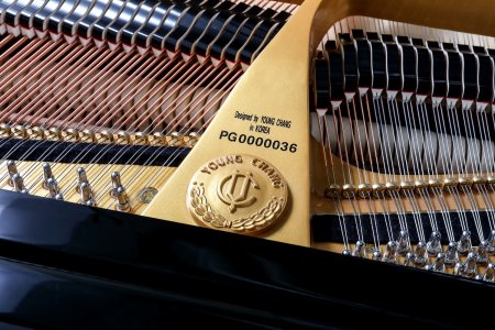 Фото Акустический рояль Young Chang YC168E BP