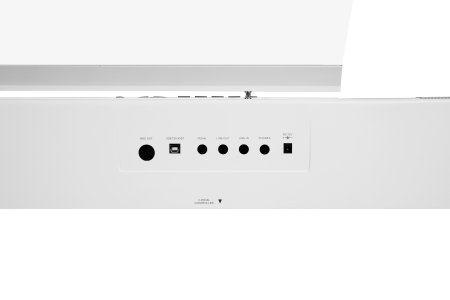 Фото Цифровое пианино Ringway RP-60 WH