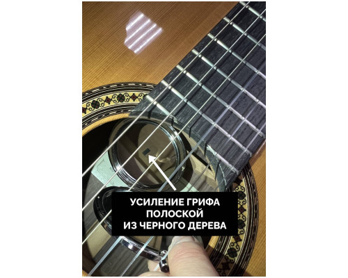 Фото Классическая гитара Perez 650 Spruce