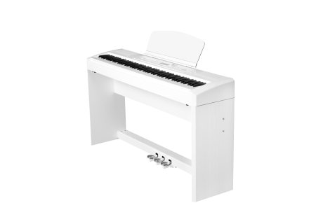 Фото Цифровое пианино Ringway RP-60 WH