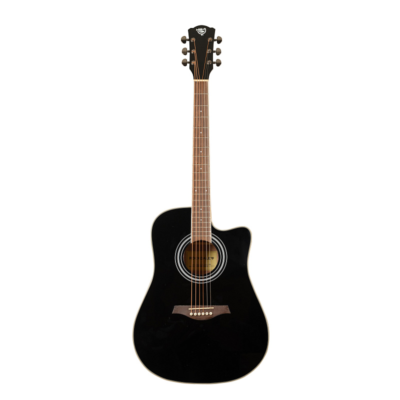 Фото Акустическая гитара ROCKDALE Aurora D6 Gloss C BK