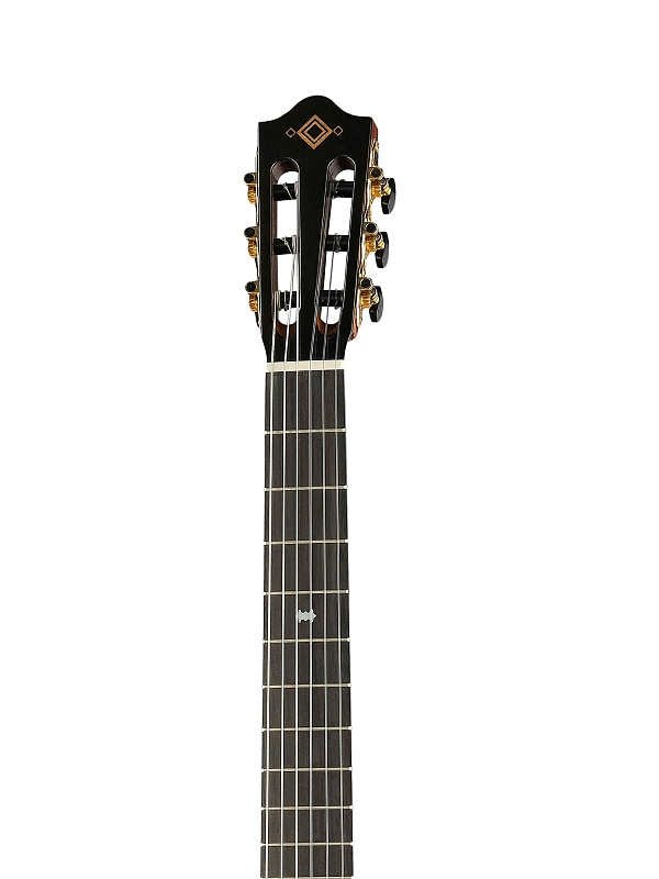 Фото Классическая гитара Martinez MP-14-MH