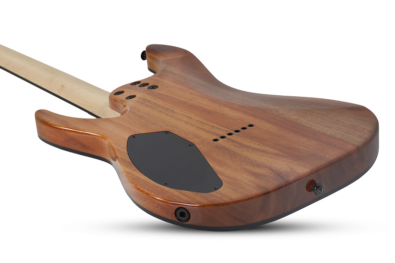Фото Электрогитара Schecter C-6 PRO ARB