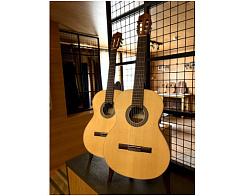 Классическая гитара Perez 600 Spruce Caramelo