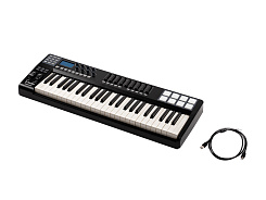 MIDI-клавиатура LAudio Panda-49C