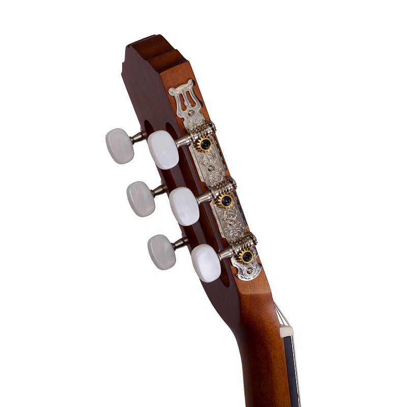 Фото Классическая гитара ROCKDALE Classic C5