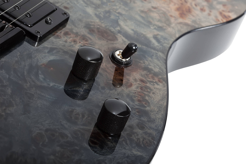 Фото Электрогитара Schecter PT STANDARD BFBB