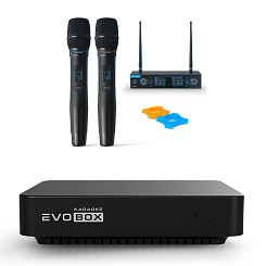 Караоке система Evolution EVOBOX с 2 микрофонами Black