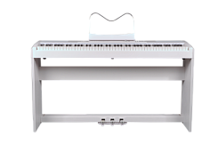 Цифровое пианино Ringway RP-35 W