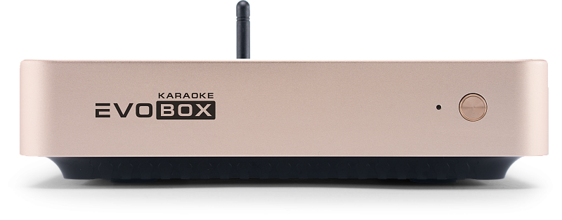 Фото Караоке система Evolution EVOBOX Plus Gold
