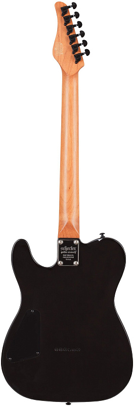 Фото Электрогитара Schecter PT STANDARD BFBB