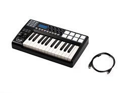 MIDI-клавиатура LAudio Panda-25C