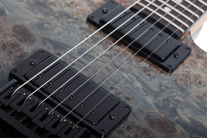 Фото Электрогитара Schecter PT STANDARD BFBB
