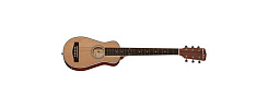 Harley Benton Traveler-E-Steel