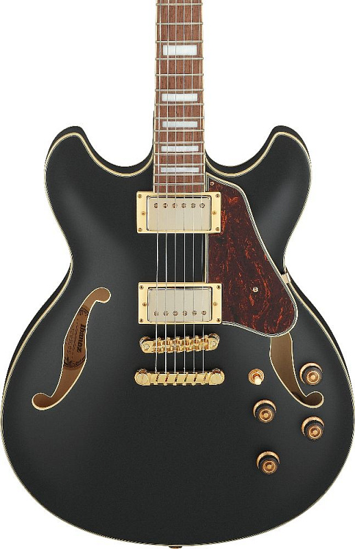Фото Электрогитара IBANEZ AS73G-BKF