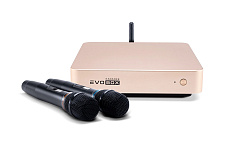 Караоке система Evolution EVOBOX Classic Gold