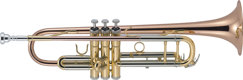 Фото Труба "Bb" AMATI ATR 313BR-OT  
