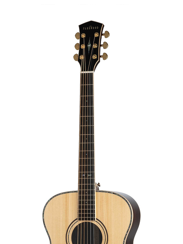 Фото Акустическая гитара Parkwood P820ADK-WCASE-NAT