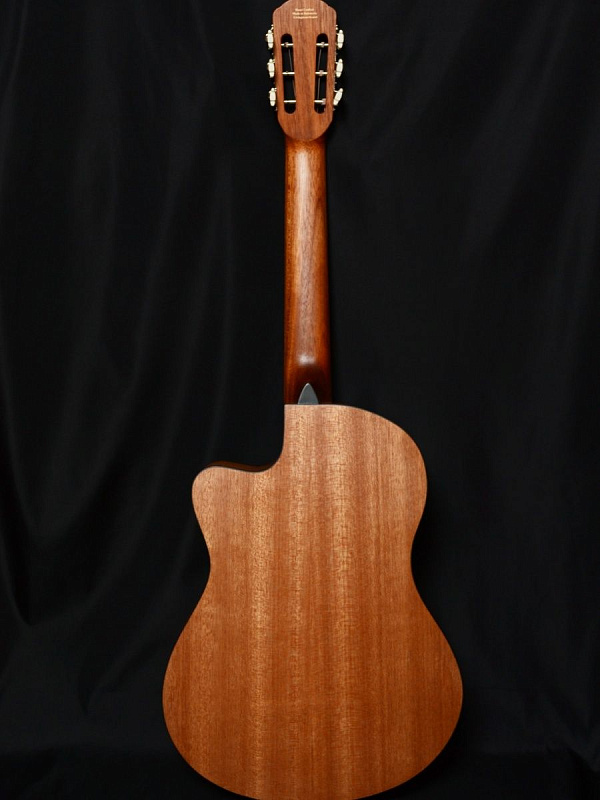 Фото Гитара Livingstone Folkblues NS EQ 39" с вырезом