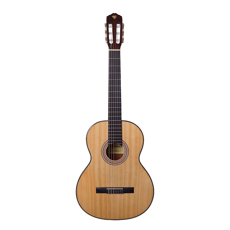 Фото Классическая гитара ROCKDALE Classic C2