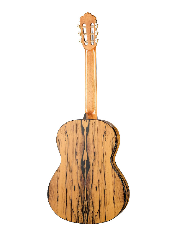 Фото Классическая гитара Alhambra 8.891V Classical Conservatory 6 White Ebony