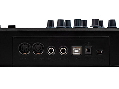 MIDI-клавиатура LAudio Panda-49C
