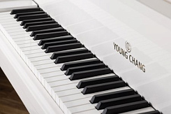 Акустический рояль Young Chang YC168E WHP