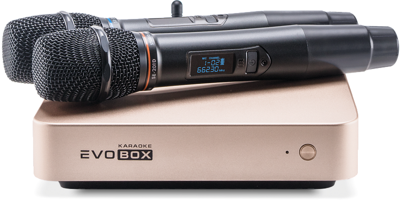 Фото Караоке система Evolution EVOBOX Plus Gold