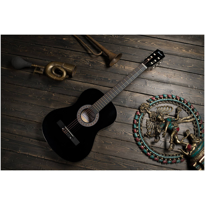 Классические классическая гитара terris tc-3801a bk в магазине Music-Hummer