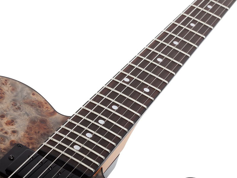 Фото Электрогитара Schecter PT STANDARD BFBB