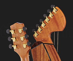 Гитара-арфа Timberline Guitars T70HGc-E