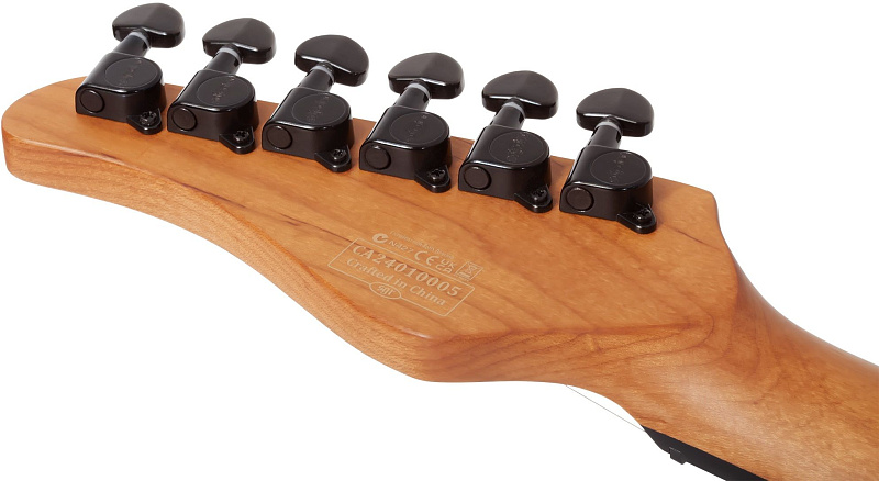 Фото Электрогитара Schecter PT STANDARD BFBB