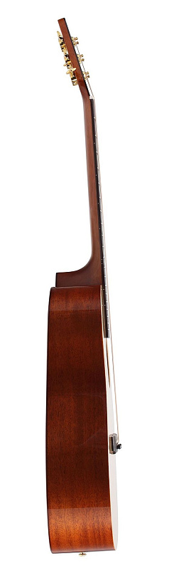 Фото Акустическая гитара STARSUN DF10