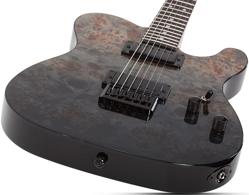Фото Электрогитара Schecter PT STANDARD BFBB