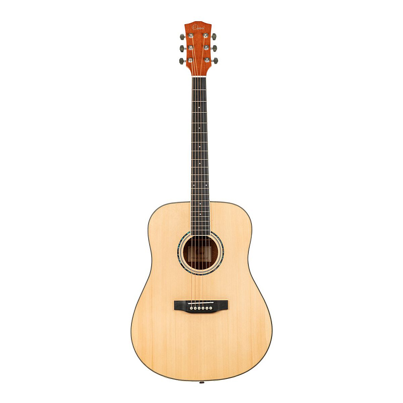 Фото Акустическая гитара Omni D-220 NT