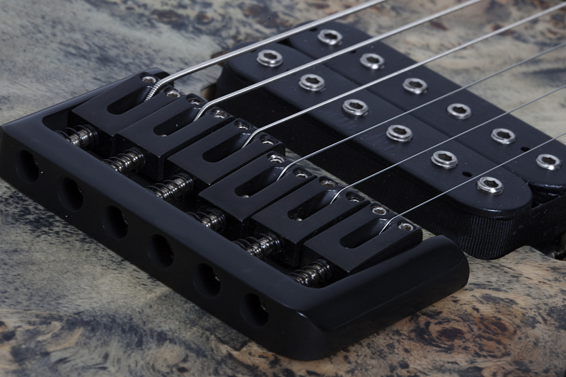 Фото Электрогитара Schecter REAPER-6 SSKYB