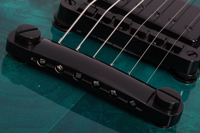 Фото Электрогитара Schecter Solo-II Standard OBB
