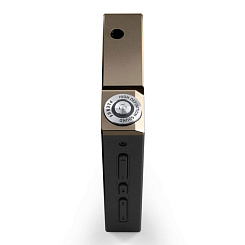 Цифровой плеер Cowon Plenue D Gold Black