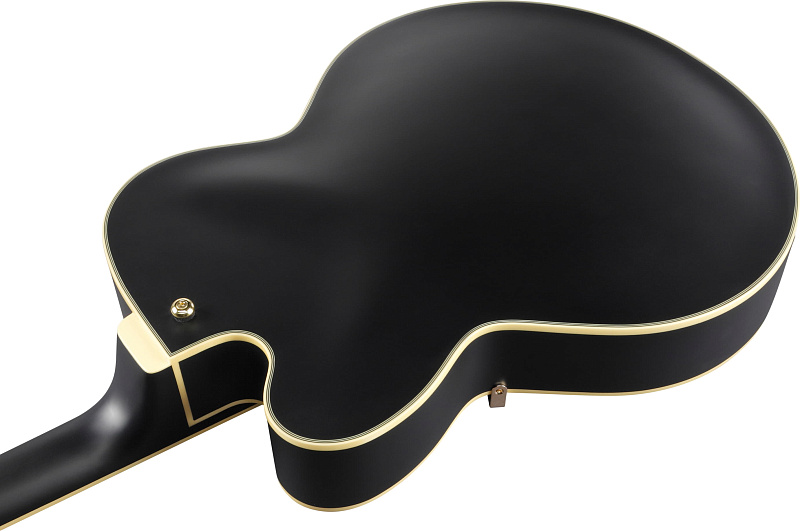 Фото Электрогитара IBANEZ AF75G-BKF