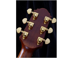 Электроакустическая гитара Crafter AL G-1000CE