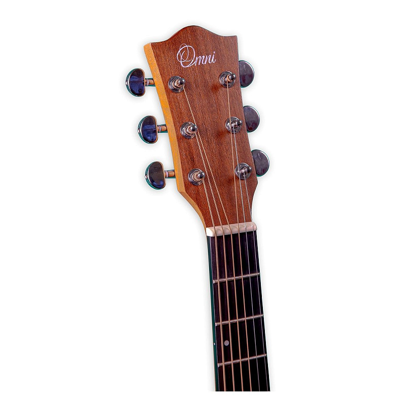 Фото Акустическая гитара Omni D-120 NT