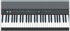 Цифровое пианино Kurzweil KA P1 LB