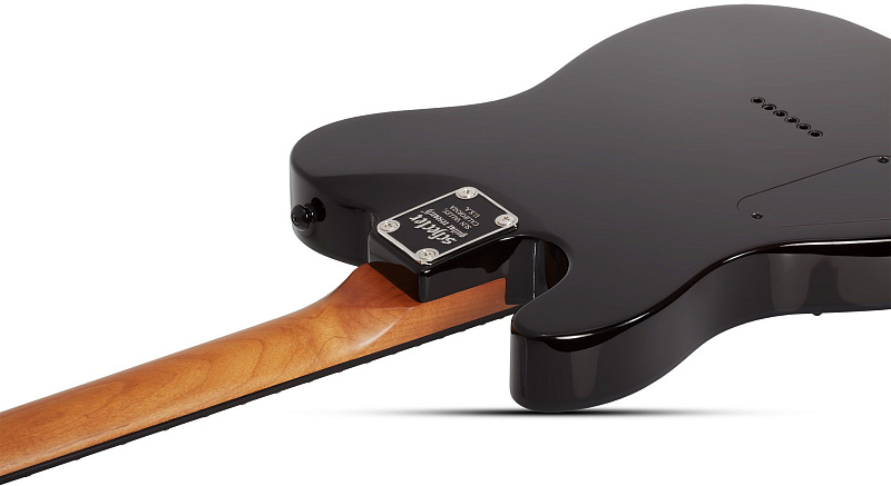 Фото Электрогитара Schecter PT STANDARD BFBB
