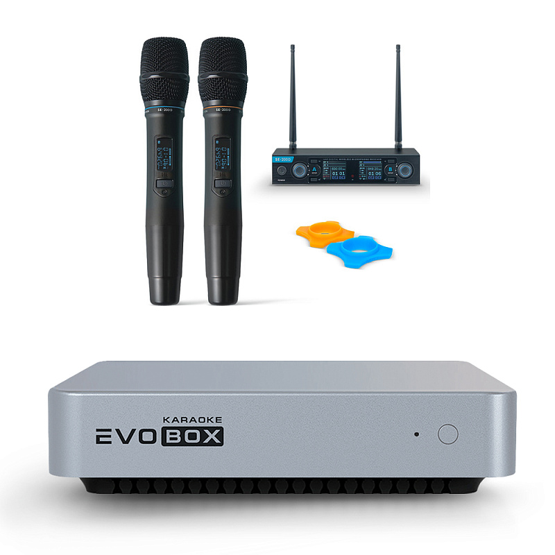 Фото Караоке система Evolution EVOBOX с 2 микрофонами Silver