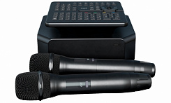 Комплект караоке AST Thump 212XT SUB