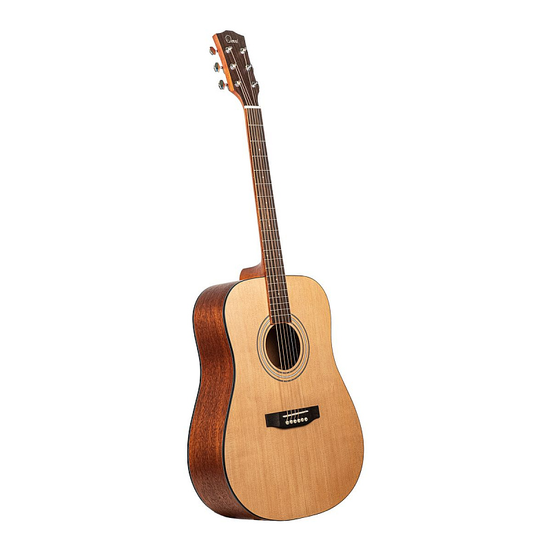 Фото Акустическая гитара Omni D-260S